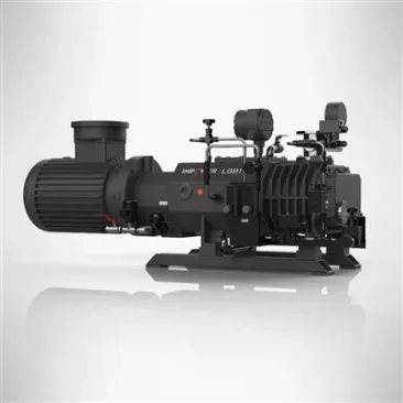 Dual Phase Rigid Oil-free Screw Vacuum Pump