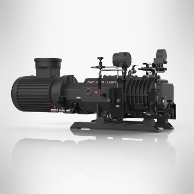 What is the influence of ambient temperature on a dry vane vacuum pump?